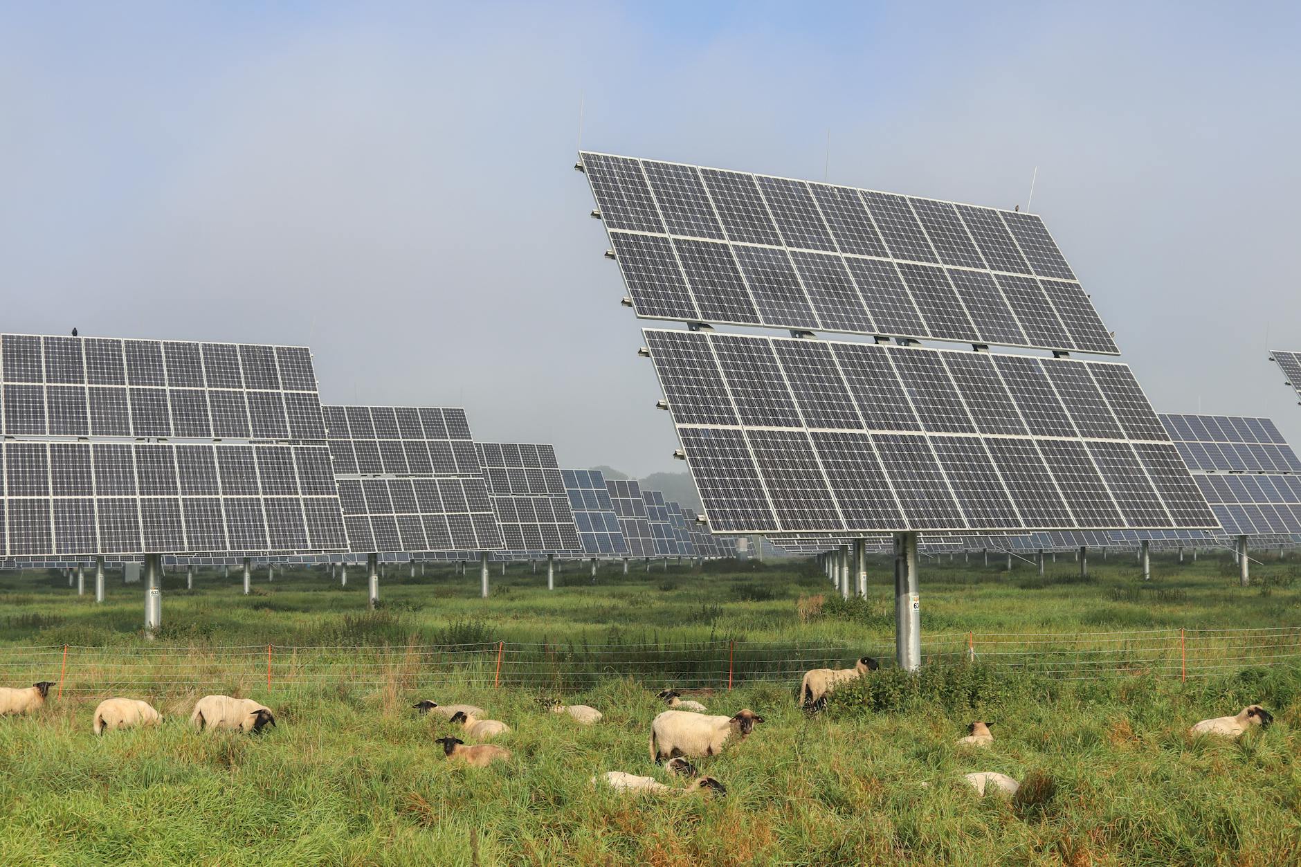 A Quick Look into Solar PCU Usage