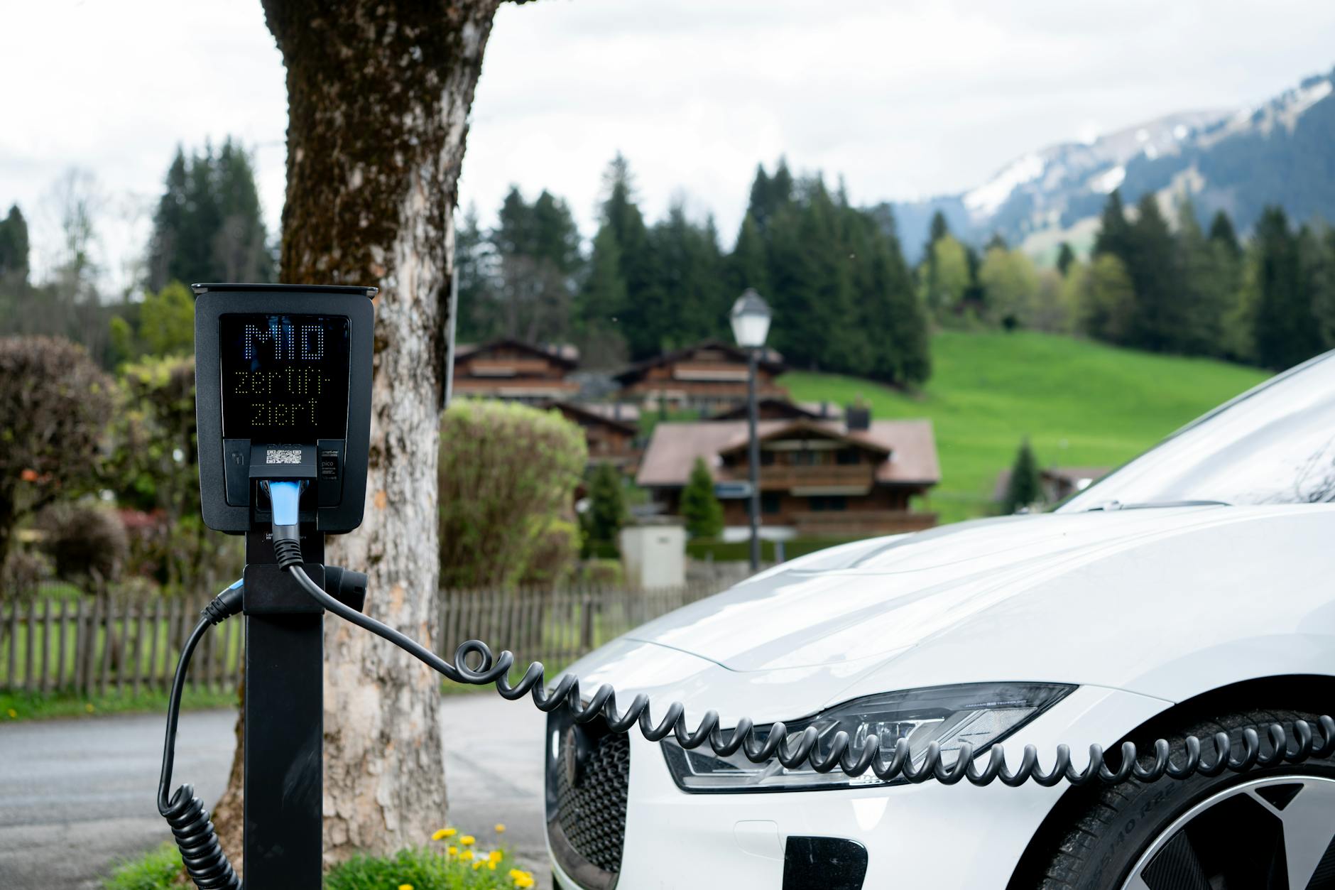 Why is the future of all vehicles with LiFePO4 battery?